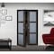 Renin Renin 24 in. x 80 1/2 in. Euro 3-Lite Design Pivot Door PV5402IAFGC024080 - alternate 2